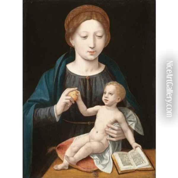 The Virgin And Child With An Apple And An Open Book Oil Painting -  Master of the Female Half Lengths