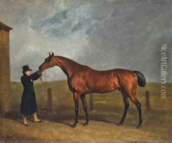 Truffle, Owned By Colonel Udney Oil Painting - Abraham Cooper