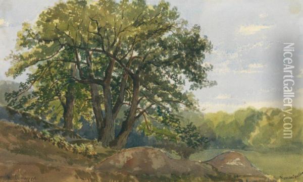 Foret De Fontainebleau Oil Painting - Jean-Henri Chouppe
