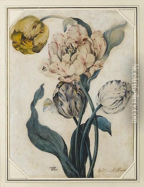 Flower Study Oil Painting - William Edward Kilburn