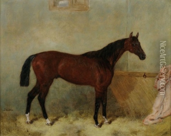 Starter A Chestnut Mare Oil Painting - Harry Hall