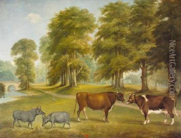 Cattle And Wild Boar In Parkland Setting Oil Painting - William Brocas