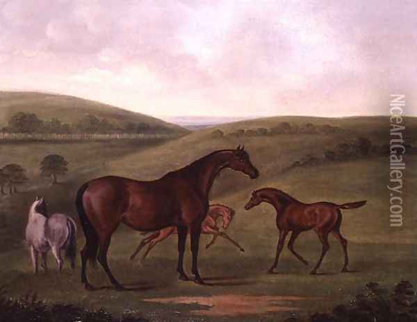 Mare with Foals in a Landscape Oil Painting - John Nost Sartorius