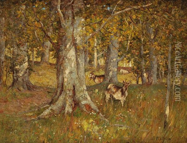 In The Woods Oil Painting - William Macbride