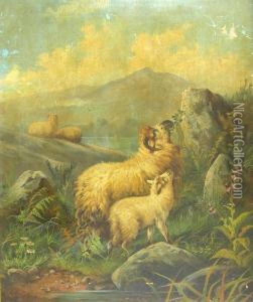 Sheep Grazing By A Lochside Oil Painting - John Morris