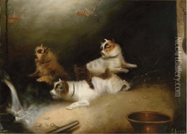 Terriers Ratting Oil Painting - Edward Armfield