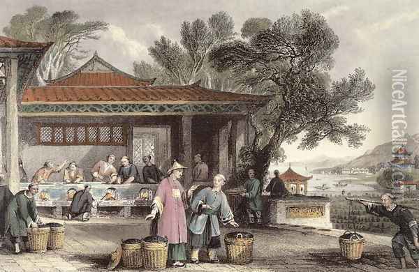 The Culture and Preparation of Tea, from 'China in a Series of Views' Oil Painting - Thomas Allom