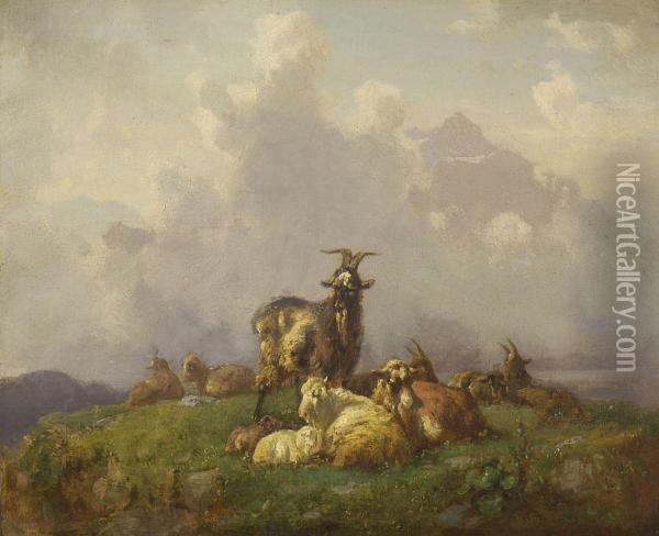 Schafe Und Ziegen Auf Der Weide Oil Painting - Louis, Ludwig Reinhardt