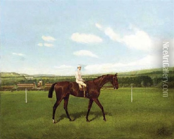A Bay Racehorse With Jockey Up, A Racecourse Beyond Oil Painting - Jonny Audy