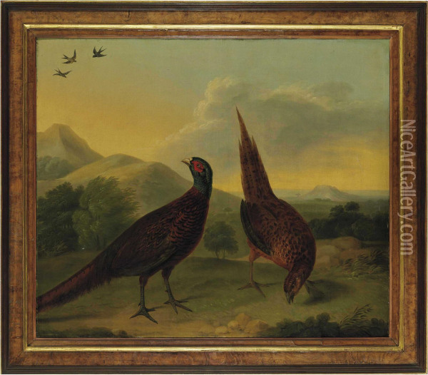 Pheasants In A Landscape Oil Painting - Stephen Elmer