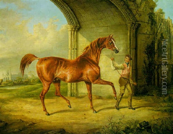Portrait Of A Stallion (