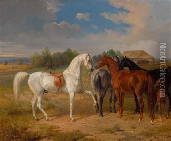 Pferde Auf Der Koppel Oil Painting - Albrecht Adam