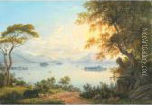 Les Iles Borromees Au Lac Majeur Oil Painting - Johann Heinrich Bleuler I