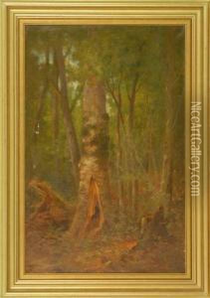 Forest Interior Oil Painting - William Ongley