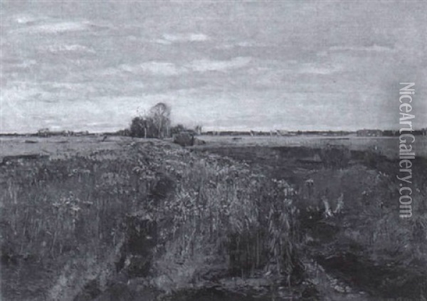 Moorlandschaft Oil Painting - Otto Miller-Diflo