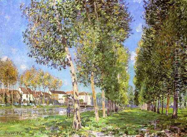 The Lane of Poplars at Moret-Sur-Loing Oil Painting - Alfred Sisley