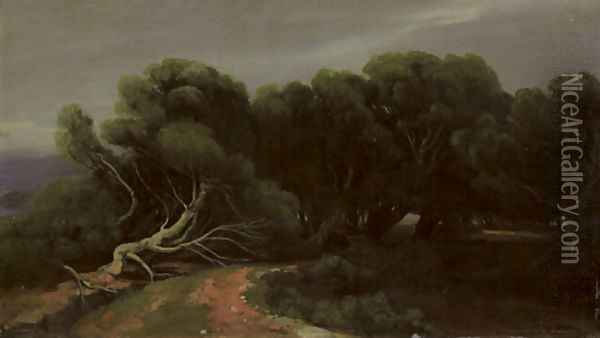 Pins le long d'un chemin au bord de mer, 1853-60 Oil Painting - Alexandre Calame