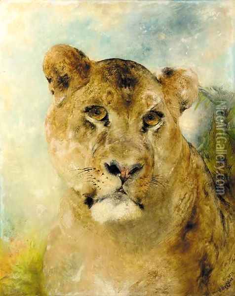 Head of a Lioness Oil Painting - William Huggins
