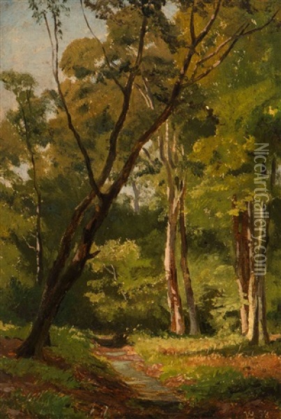 A) Forest Edge B) Forest Fen Oil Painting - Jan Willem Van Borselen