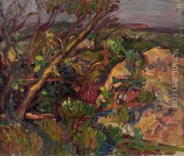 Rocky Landscape With A Stream Oil Painting - Charles Allan Winter