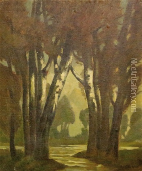 Birken Am Fluss Oil Painting - Ludwig Dill