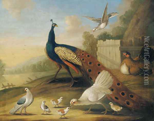 A peacock, doves and chickens in a wooded river landscape Oil Painting - Marmaduke Cradock