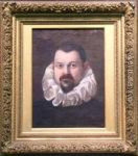 Portrait Of A Gentleman With A White Ruff Oil Painting - Federico Fiori Barocci
