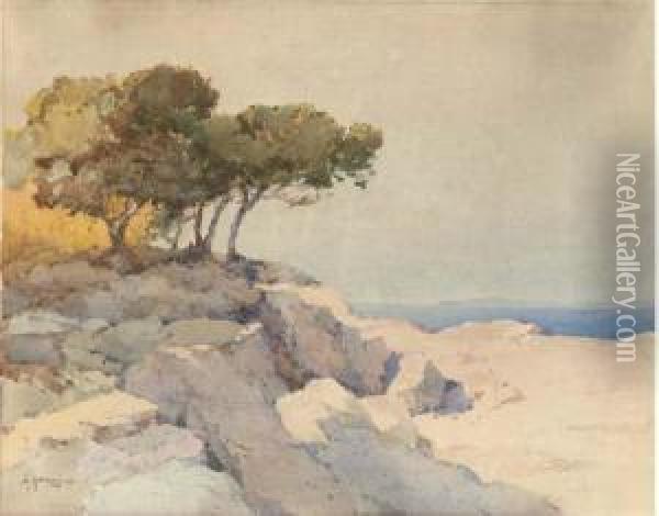 View From A Clifftop Oil Painting - Aleksei Vasilievich Hanzen