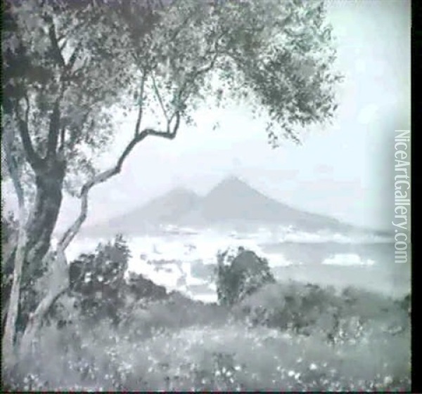 Blick Von Positano Auf Neapel Oil Painting - Heinrich Hermanns