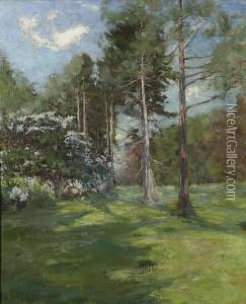 Spring Landscape Oil Painting - Hal Robinson