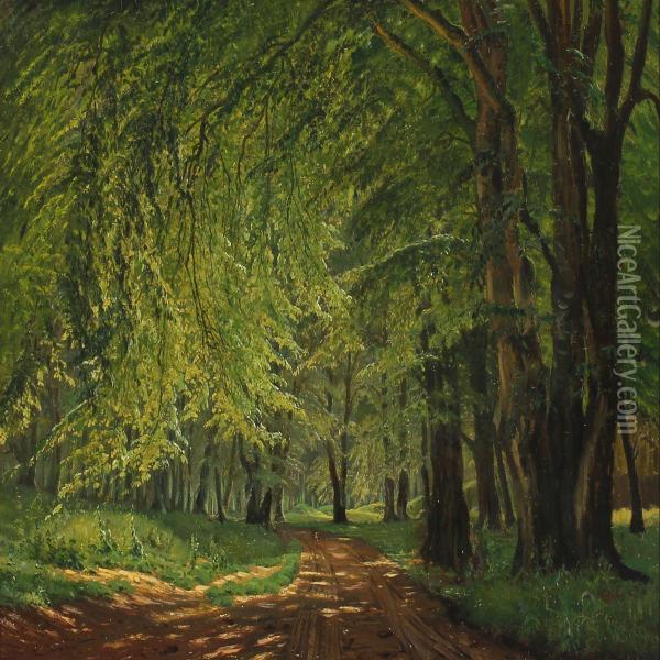 Forest Scenery A Summer Day Oil Painting - Johannes Boesen