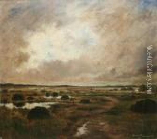 Boglands, Co. Galway Oil Painting - Douglas Alexander