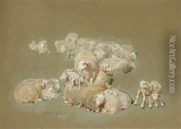 Study Of A Flock Of Sheep Oil Painting - James William Pattison