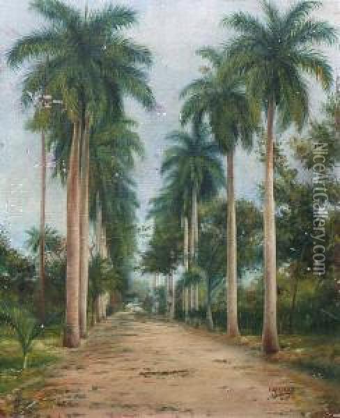 Unepalmeraie A Cuba Oil Painting - Eduardo Morales