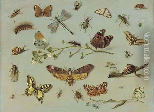 A death's head moth, a red admiral, a caterpillar and an orange-tip butterfly on a sprig of jasmine, a swallowtail butterfly, a garden tiger moth Oil Painting - Jan van Kessel