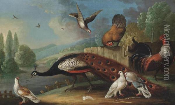 A Peacock, Pigeons And Chickens In A Wooded River Landscape Oil Painting - Marmaduke Cradock