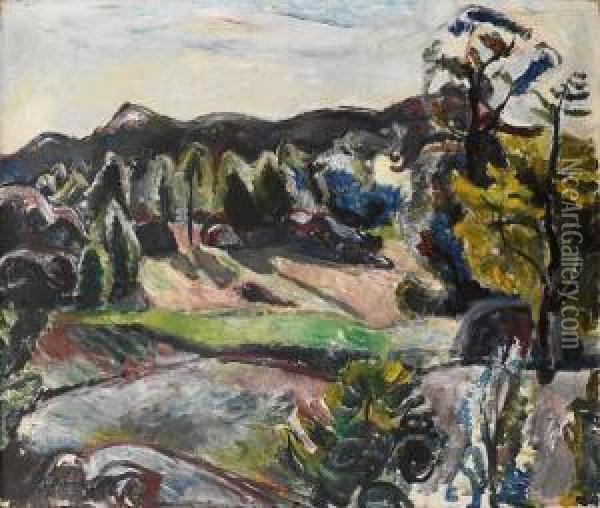 Landskap 1917 1917 Oil Painting - Peder Deberitz