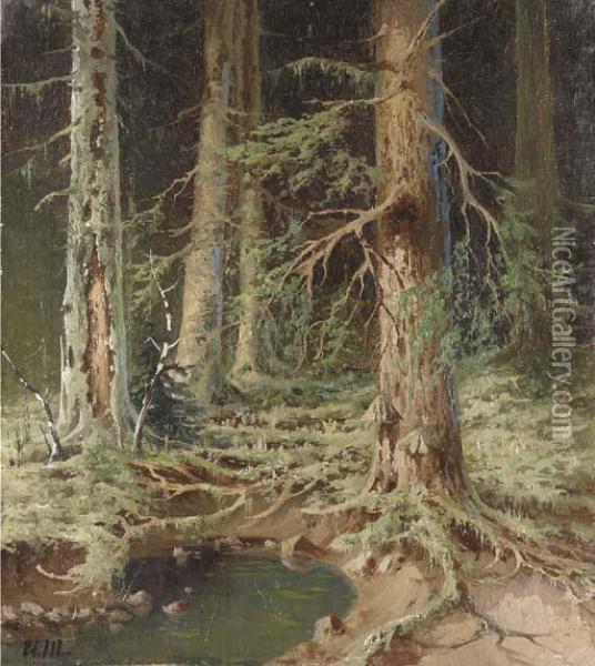 Pool In A Forest Oil Painting - Ivan Shishkin