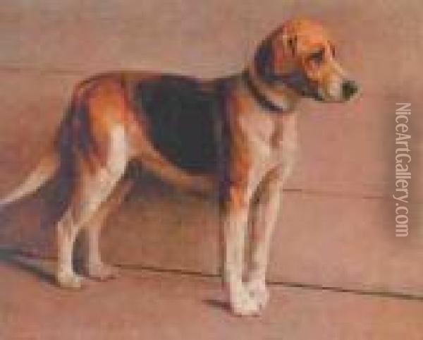 Foxhound Oil Painting - Samuel Fulton