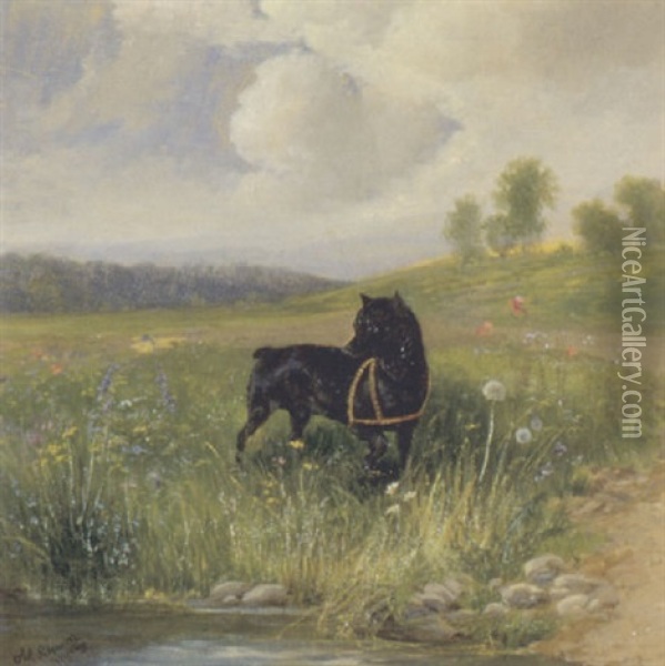 Schwarzer Hund In Landschaft Oil Painting - Julius Scheuerer