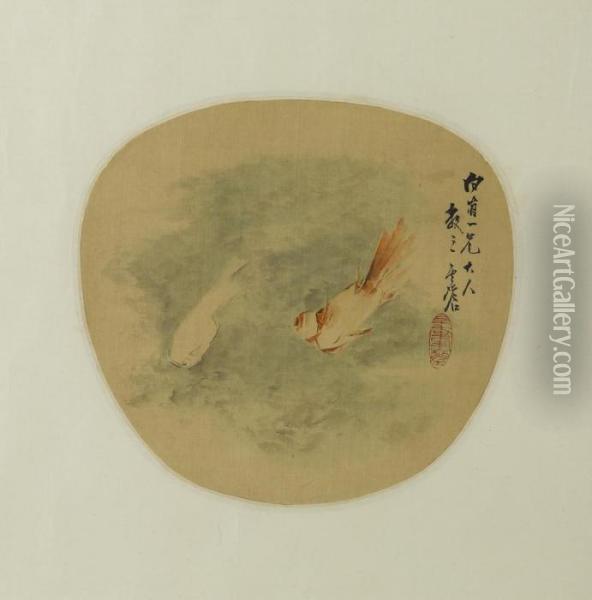 Gold Fish Oil Painting - Xu Gu
