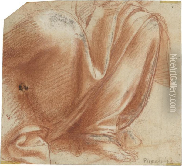 Drapery Study For The Lower Half Of A Seated Figure Oil Painting - Bernardino Gatti, Il Sojaro