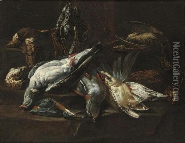 A Dead Kingfisher, Woodcocks And Other Game, On A Draped Table Oil Painting - Johannes Hermans