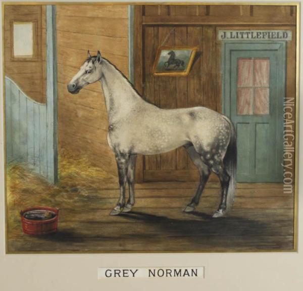 Grey Norman Oil Painting - Frederick James Boston