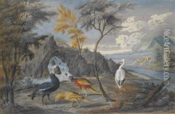 A Stork, A Pheasant, A Blackcock And Another Bird In Alandscape Oil Painting - Willem Van Royen