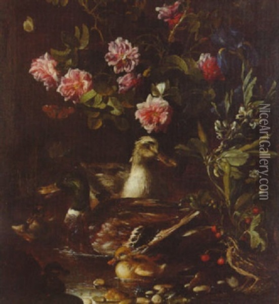 Ducks On A Pond With Roses, Irises, A Strawberry Plant, Butterflies And A Quail On A Bank Oil Painting - Paolo Porpora