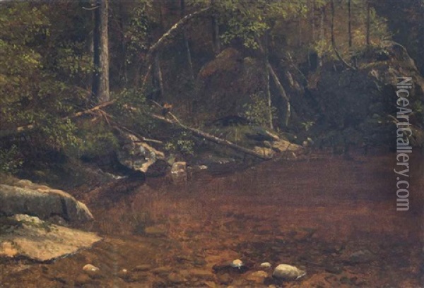 Forest Glade Oil Painting - Albert Bierstadt