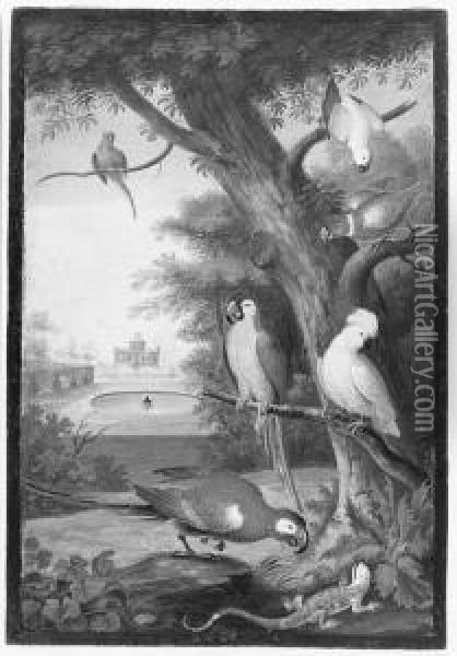 Parrots And A Lizard In A Palatial Garden Oil Painting - Johannes Bronkhorst