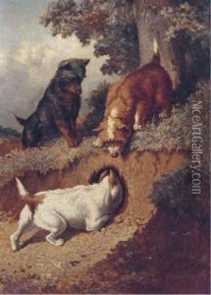Chasing Rabbits Oil Painting - Vincent de Vos