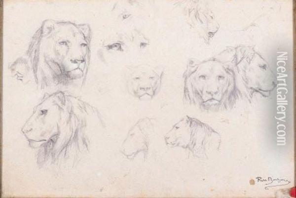 A Study Of A Lion's Head Oil Painting - Rosa Bonheur